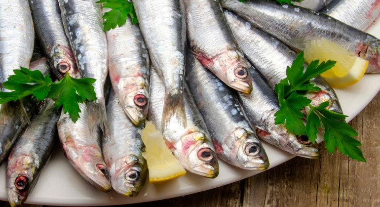 recettes régime méditérraneen et oméga 3