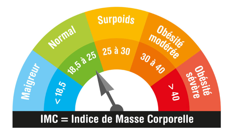 Comprendre le surpoids et connaître l'IMC