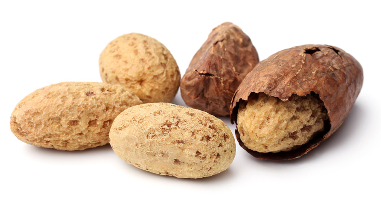Noix de Kola bienfaits, propriétés et consommation